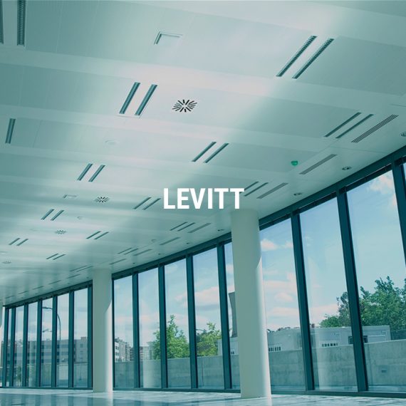 Proyecto Levitt