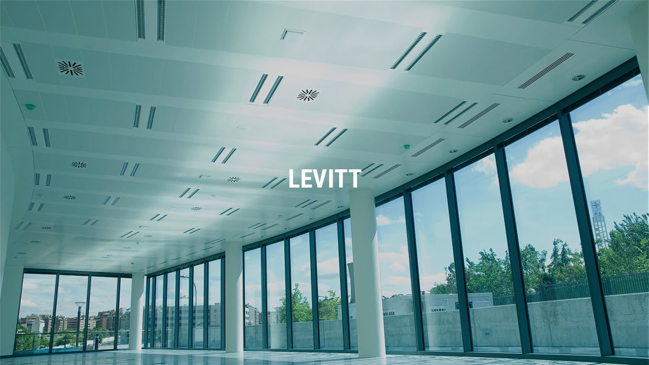 Proyecto Levitt